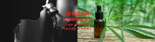бошки Пересвет