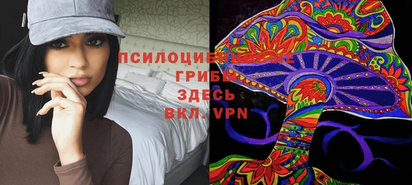 спиды Приозерск