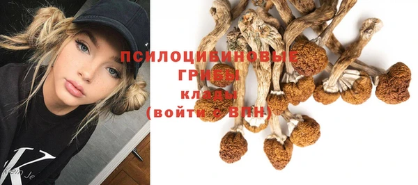 ГАЛЛЮЦИНОГЕННЫЕ ГРИБЫ Покровск