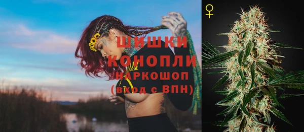 ГАЛЛЮЦИНОГЕННЫЕ ГРИБЫ Покров