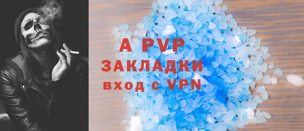 ГАЛЛЮЦИНОГЕННЫЕ ГРИБЫ Покров