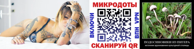 Галлюциногенные грибы ЛСД  как найти закладки  Кингисепп 