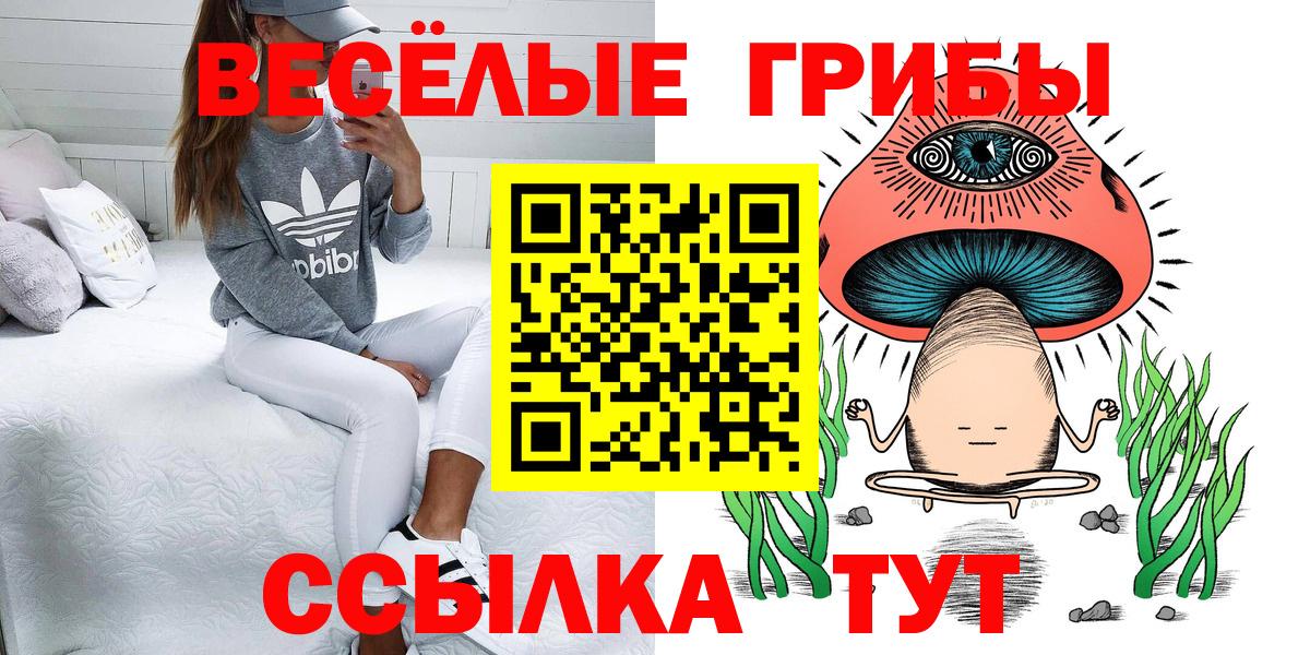 Галлюциногенные грибы GOLDEN TEACHER Кингисепп