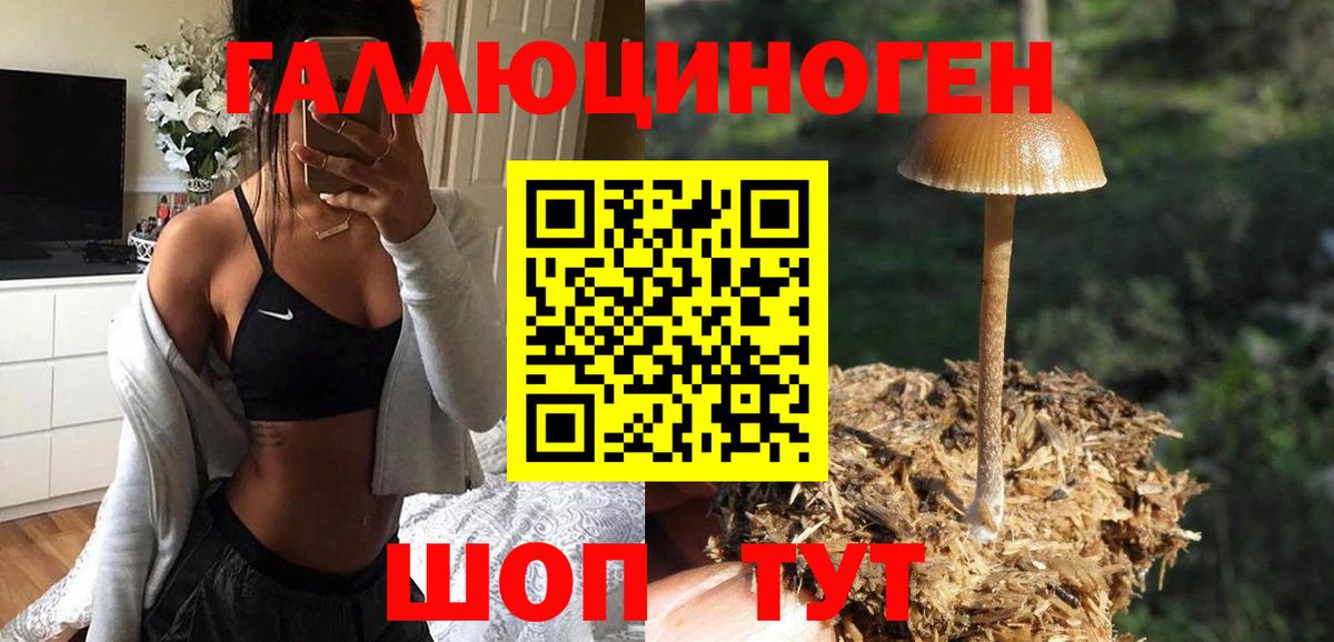 Псилоцибиновые грибы мицелий  Кингисепп  Галлюциногенные грибы мухоморы 