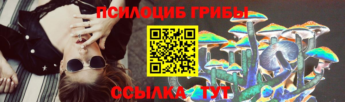 Галлюциногенные грибы ЛСД  Вход с VPN  Галлюциногенные грибы Psilocybe  Кингисепп 