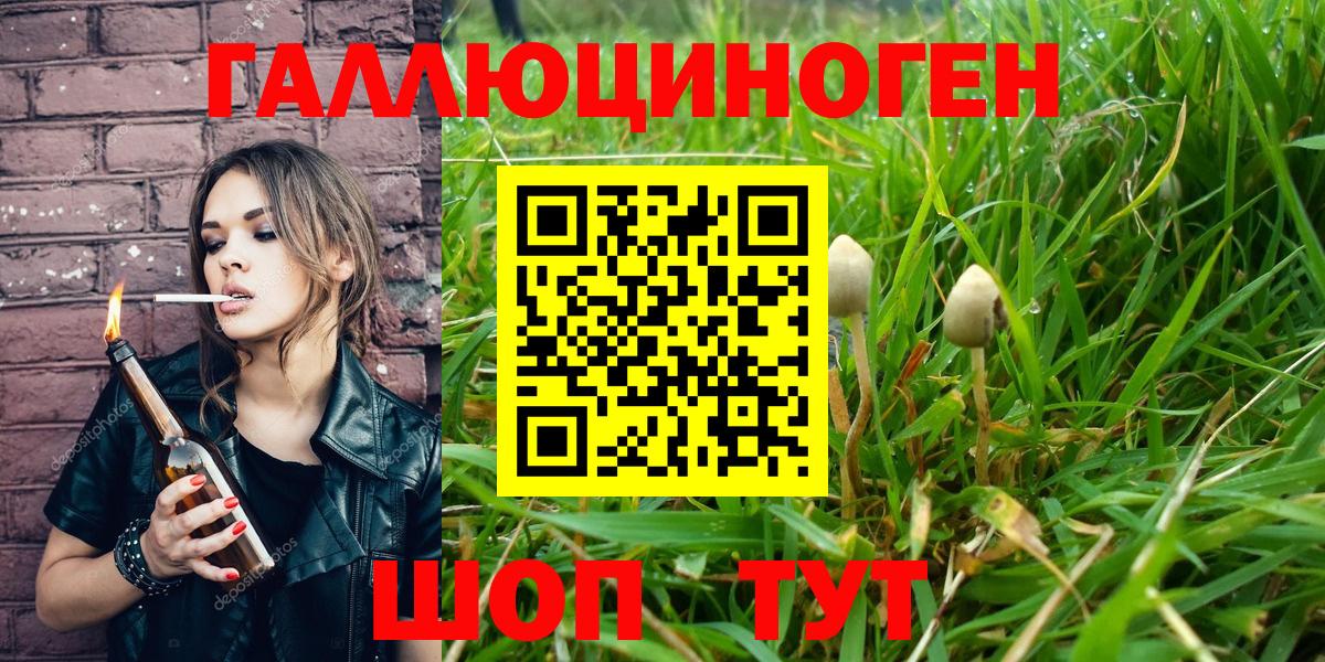 Псилоцибиновые грибы мицелий Кингисепп